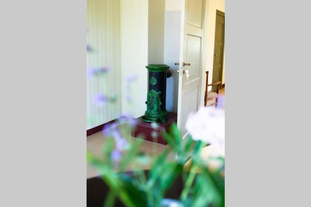Livi Avat Apartment Ikla ภายนอก รูปภาพ